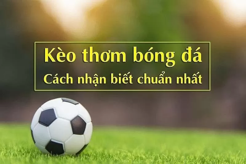Những điều người chơi cần nắm khi chọn kèo ngon ăn Những điều người chơi cần nắm khi chọn kèo ngon ăn